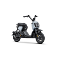 Honda Zoomer e: