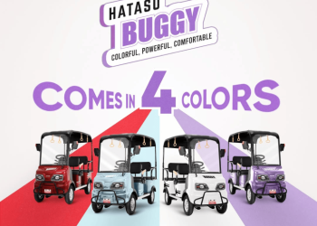 HATASU Buggy: 1200W Electric Ride with 60KM Range