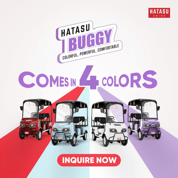 HATASU Buggy: 1200W Electric Ride with 60KM Range