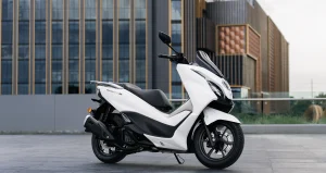 SuzukiBurgman15 WhiteColor