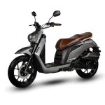 Monarch Arrow 150